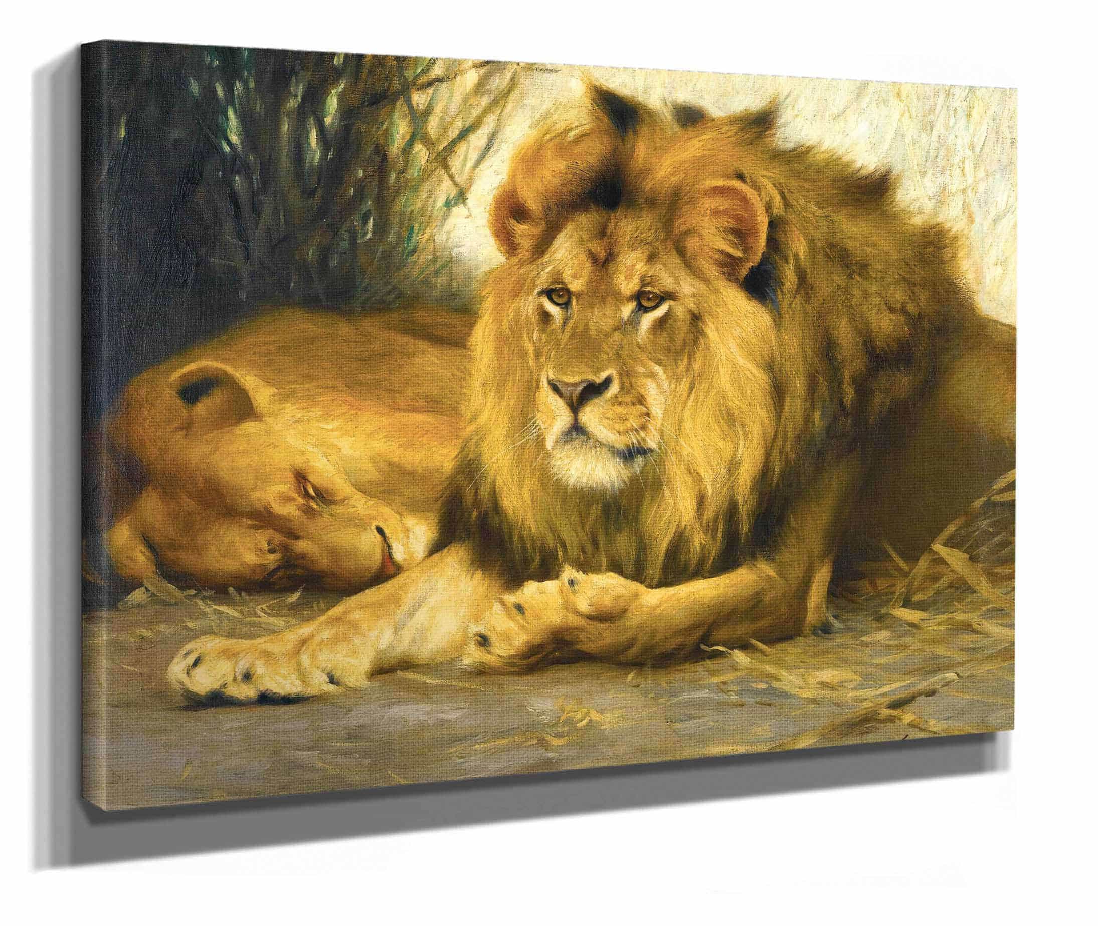 Resting Lions by Wilhelm Kuhnert