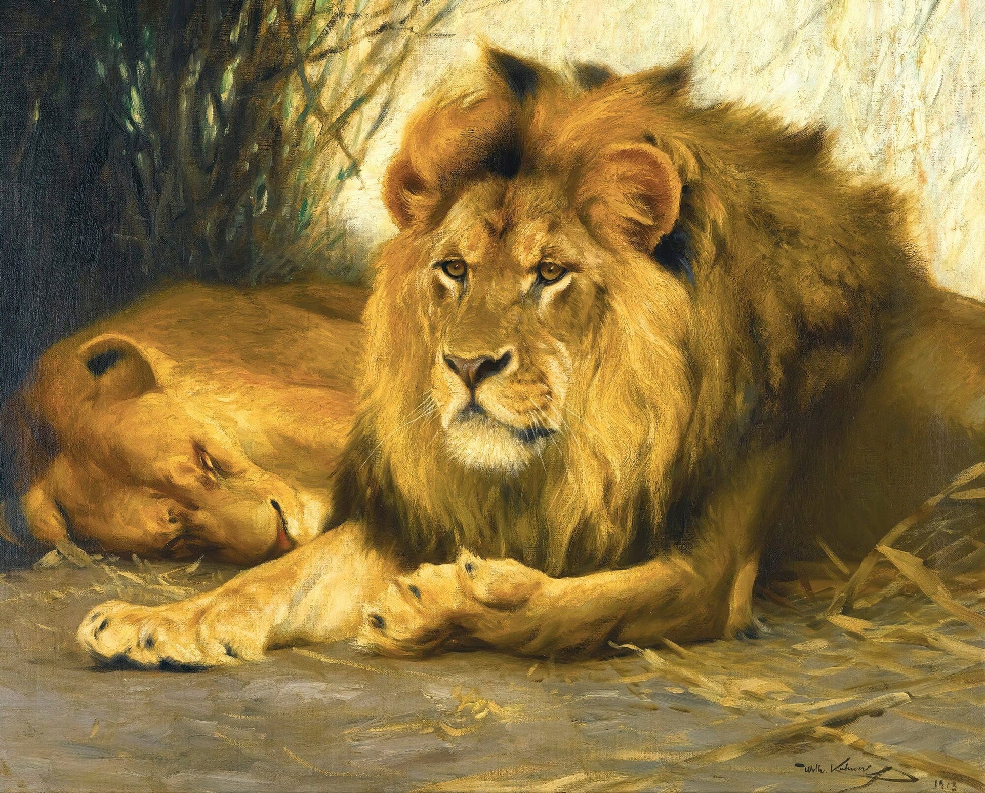 Resting Lions by Wilhelm Kuhnert