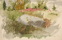 Rocks And Shrubs by Edwin Austin Abbey