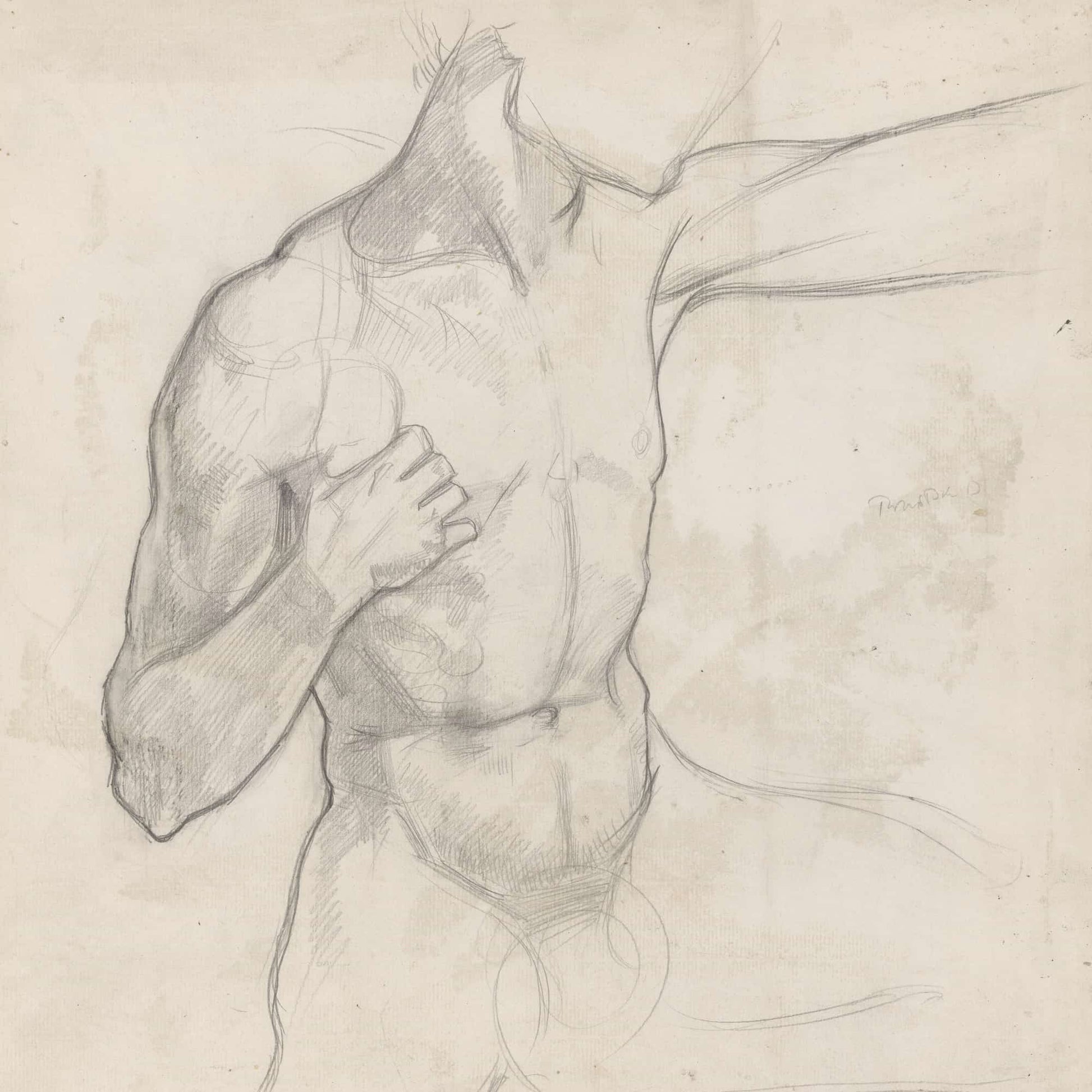 Romp Van Mannelijk Naakt  by Richard Nicolaus Roland Holst