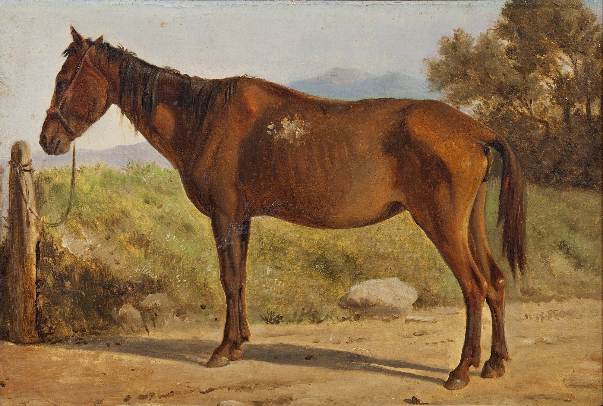 Rosinante Study Of An Old Standing Horse by Wilhelm Marstrand