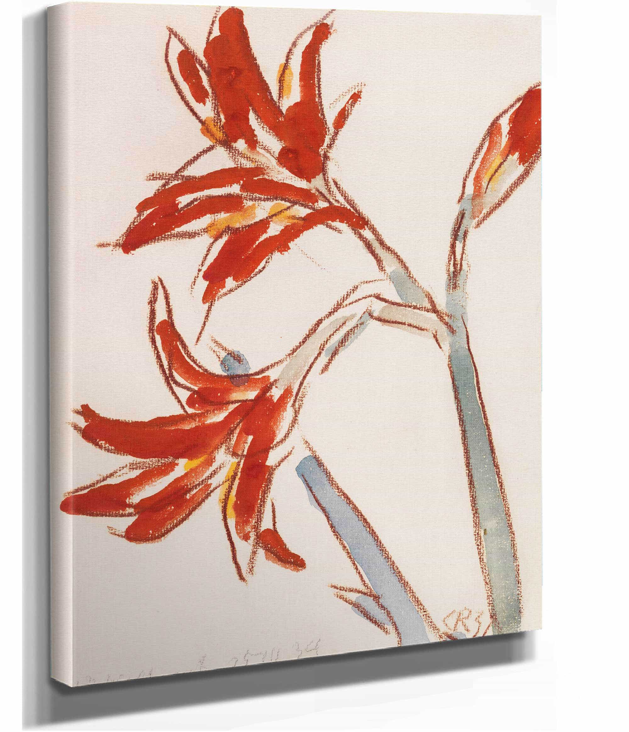 Roter Amaryllis by Christian Rohlfs
