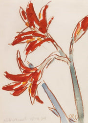 Roter Amaryllis by Christian Rohlfs