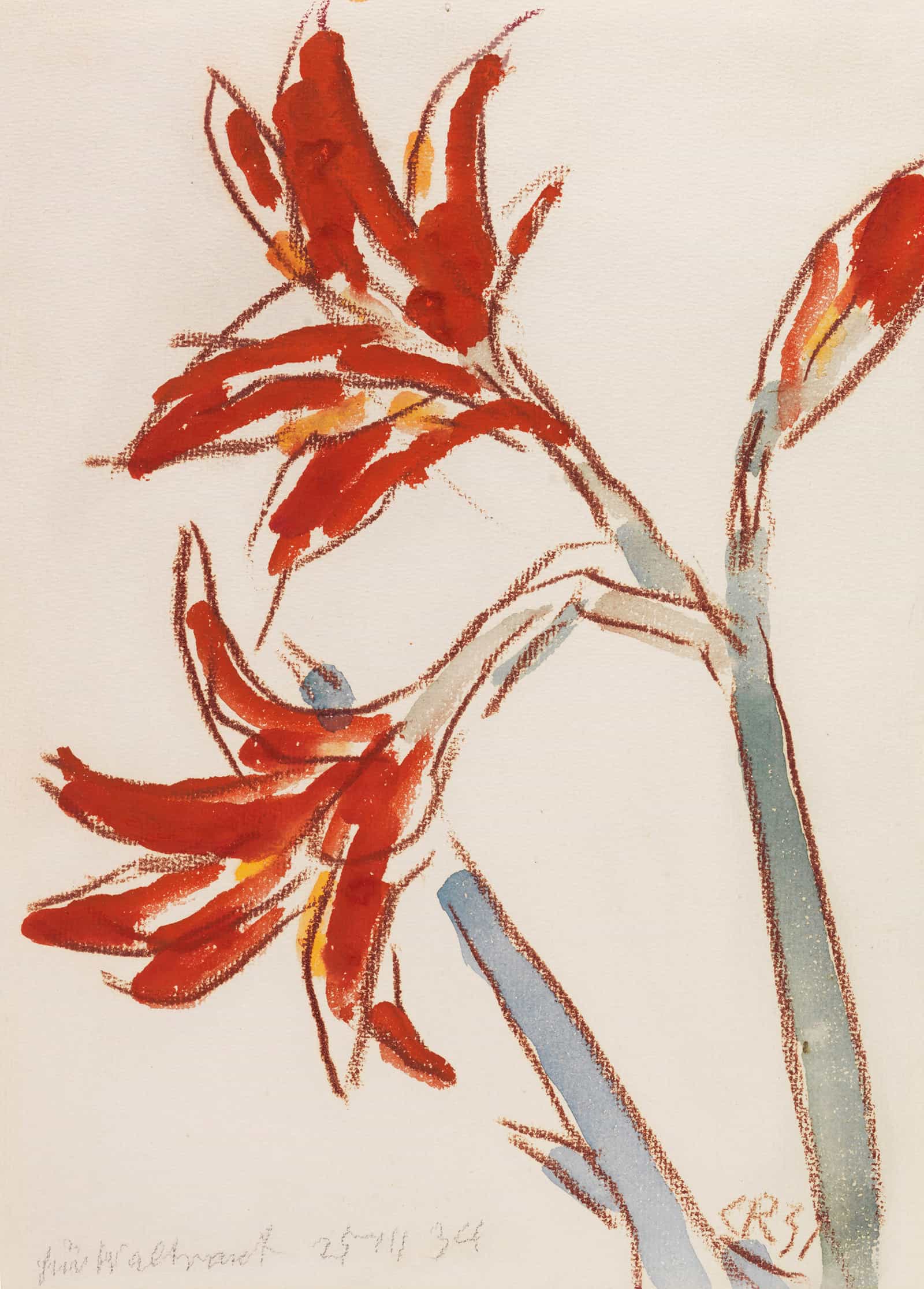 Roter Amaryllis by Christian Rohlfs