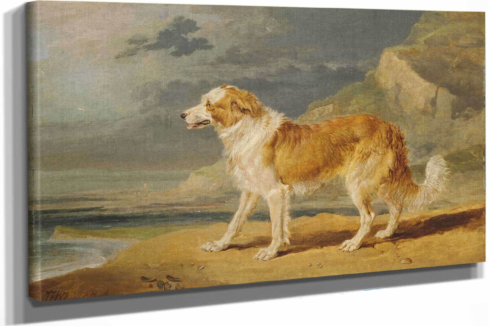 Rough Coated Collie by James Ward