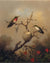 Ruby Throated Hummingbird By Martin Johnson Heade