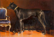 Rude Shadow Hund Von Kaiserin Elisabeth by Carl Reichert