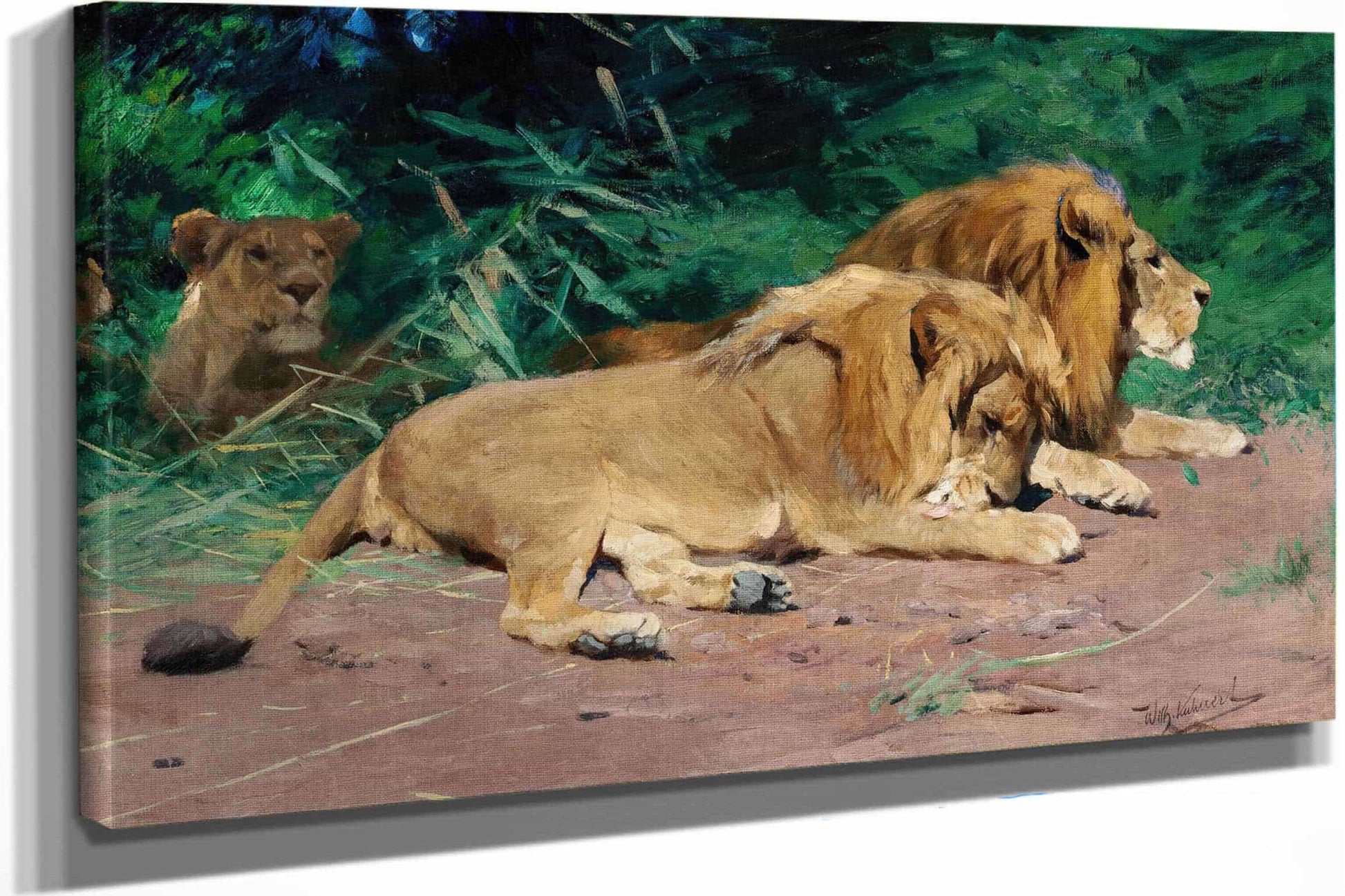 Ruhende Lowen Lions At Rest by Wilhelm Kuhnert