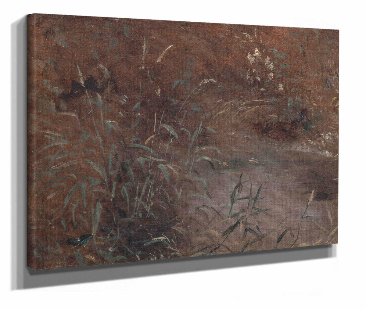 Rushes By A Pool by John Constable