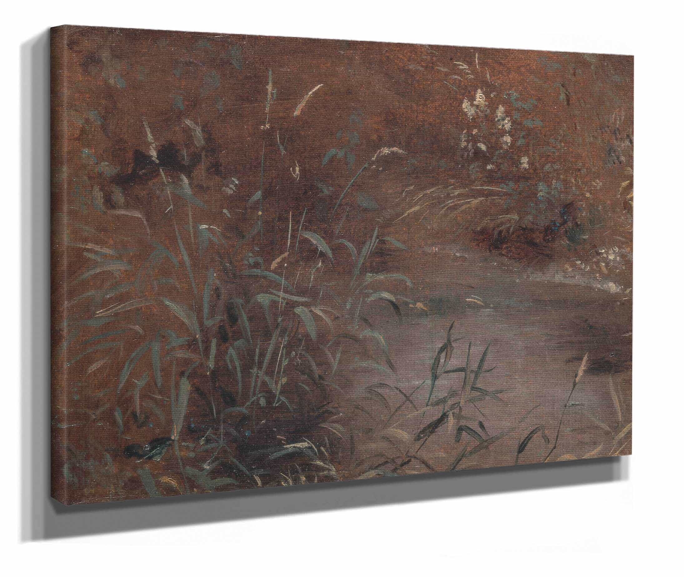 Rushes By A Pool by John Constable