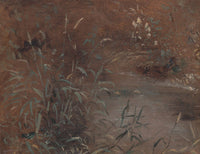 Rushes By A Pool by John Constable