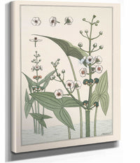 Sagittaire by Maurice Pillard Verneuil