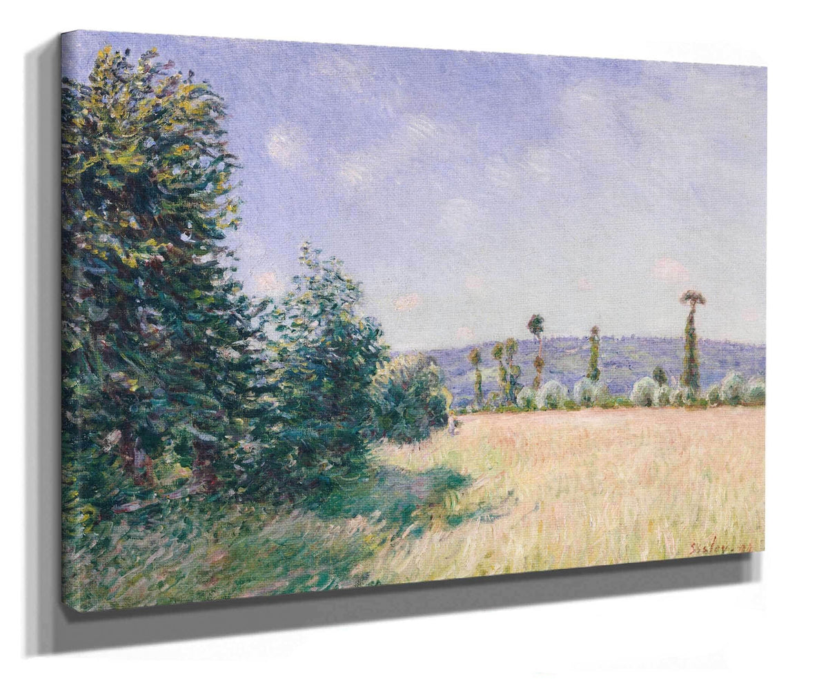 Sahurs Meadows In Morning Sun by Alfred Sisley