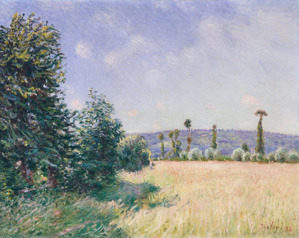Sahurs Meadows In Morning Sun by Alfred Sisley