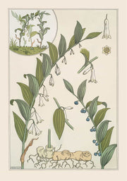 Sceau De Salomon by Maurice Pillard Verneuil