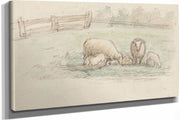 Schapen In Een Weide  by Jozef Israels