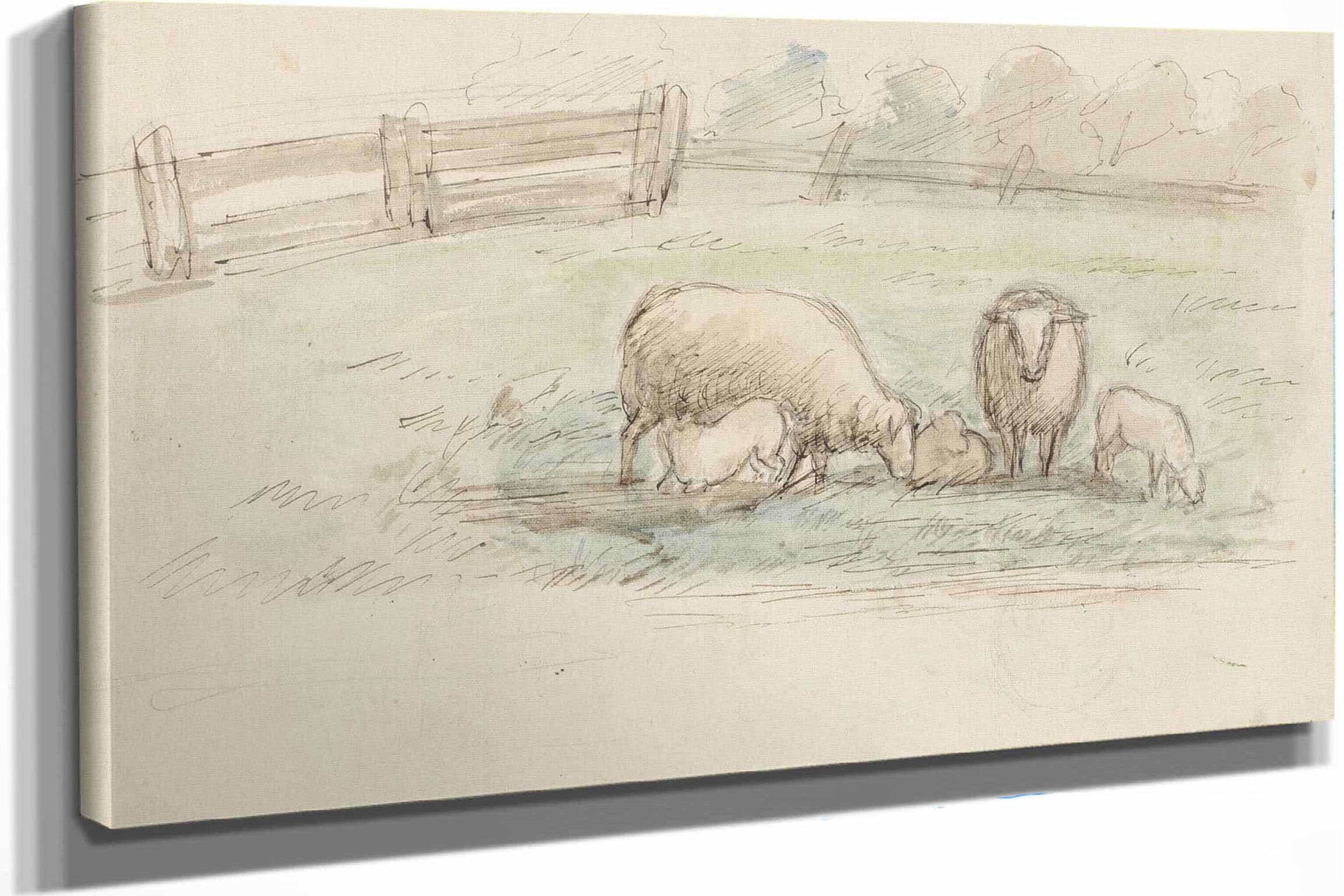 Schapen In Een Weide  by Jozef Israels
