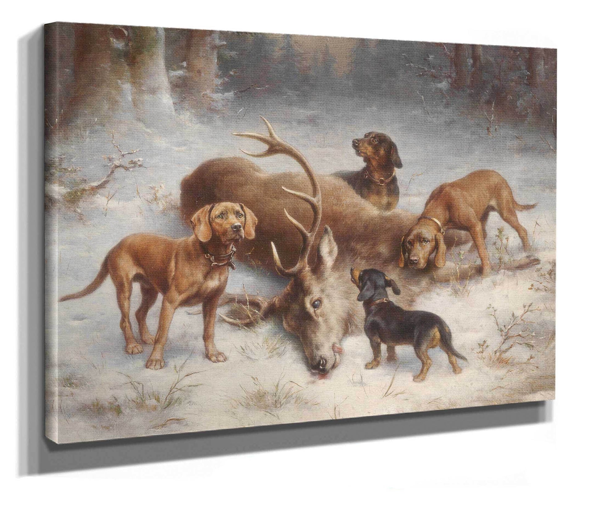 Schweibhunde Mit Erlegtem Hirsch by Carl Reichert