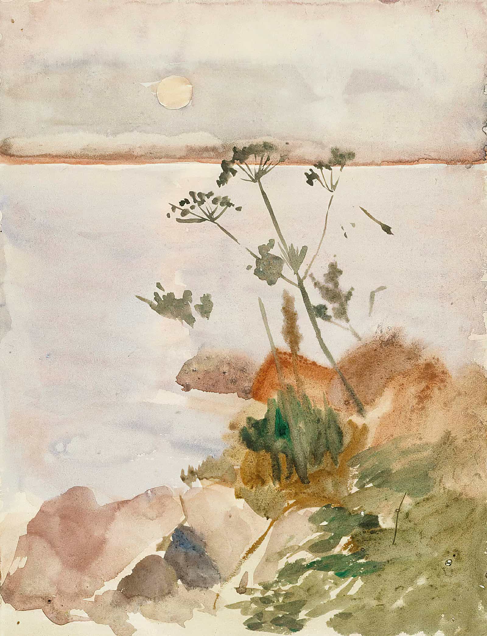 Seashore In The Moonlight by Albert Edelfelt