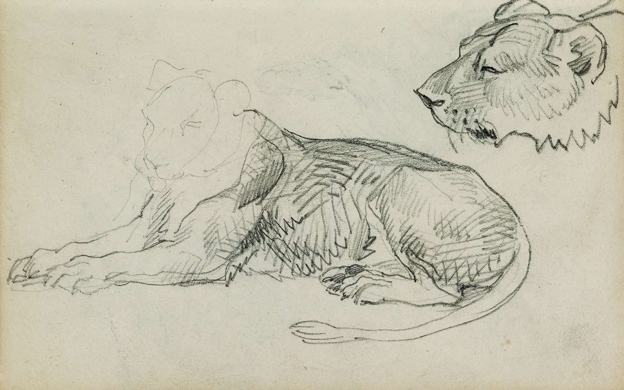 Seated Lion Head Of Lioness  by Theodore Gericault
