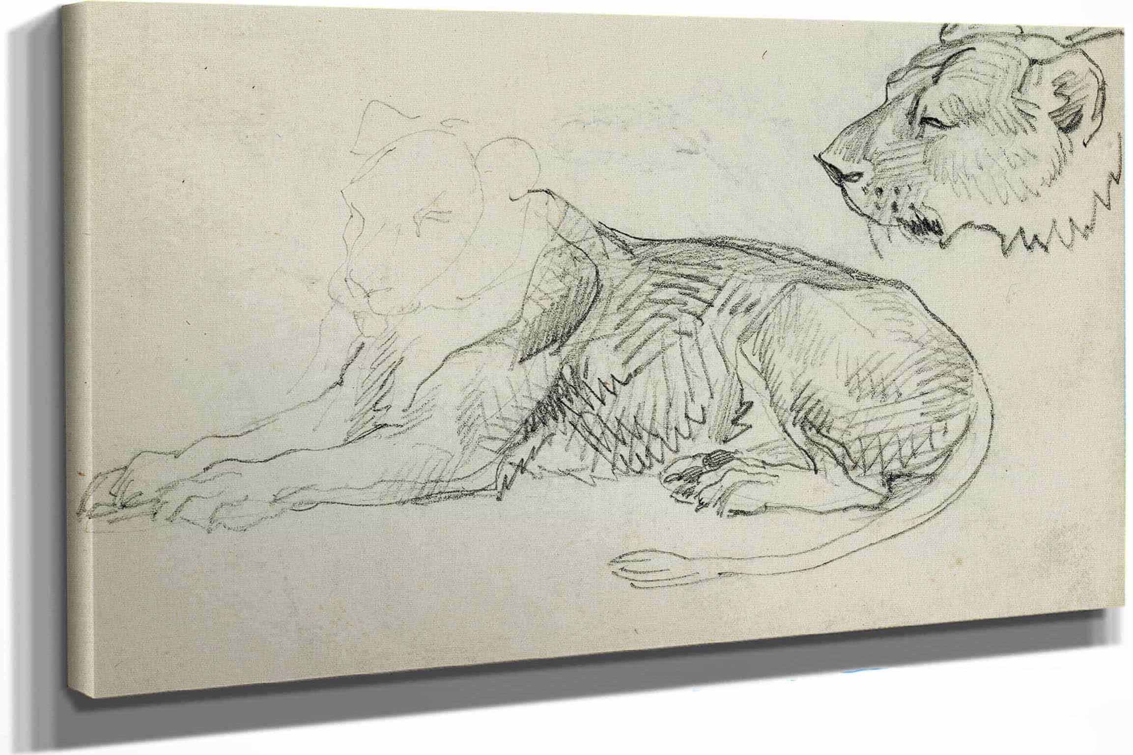 Seated Lion Head Of Lioness  by Theodore Gericault