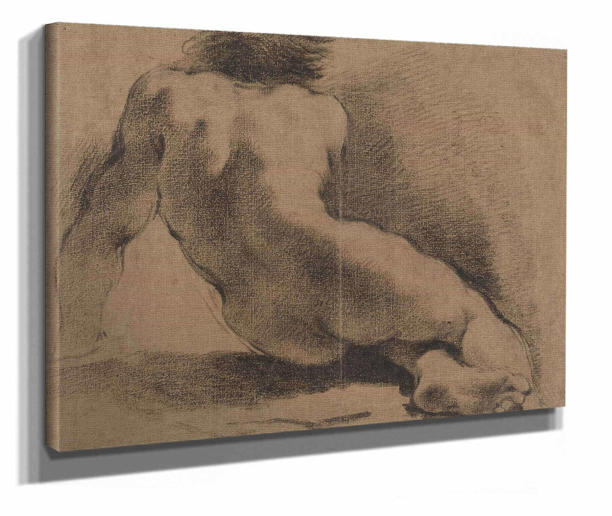 Seated Nude Boy Seen From The Back by Guercino