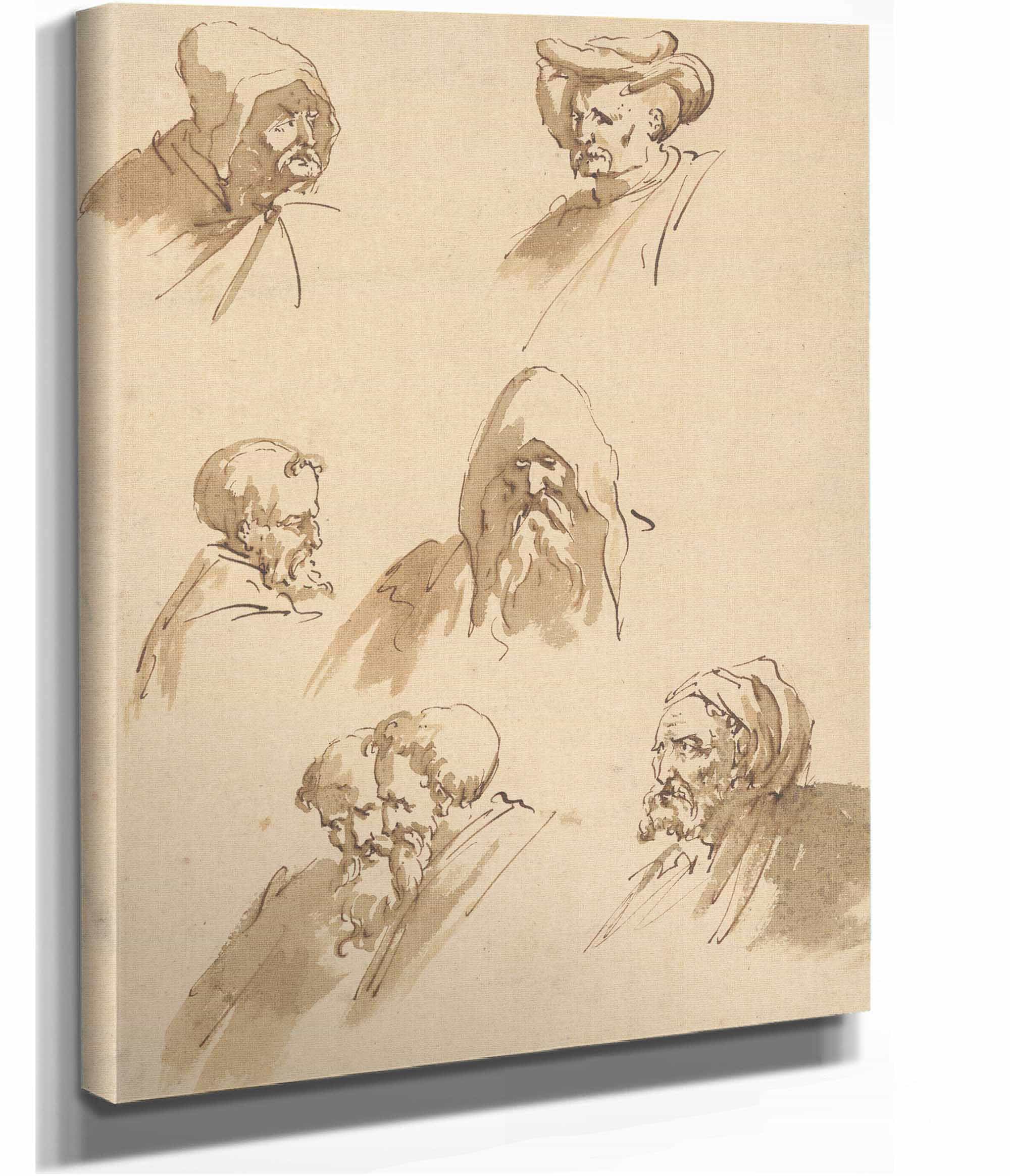 Seven Male Heads Late Th Mid Th Century by Sebastiano Ricci
