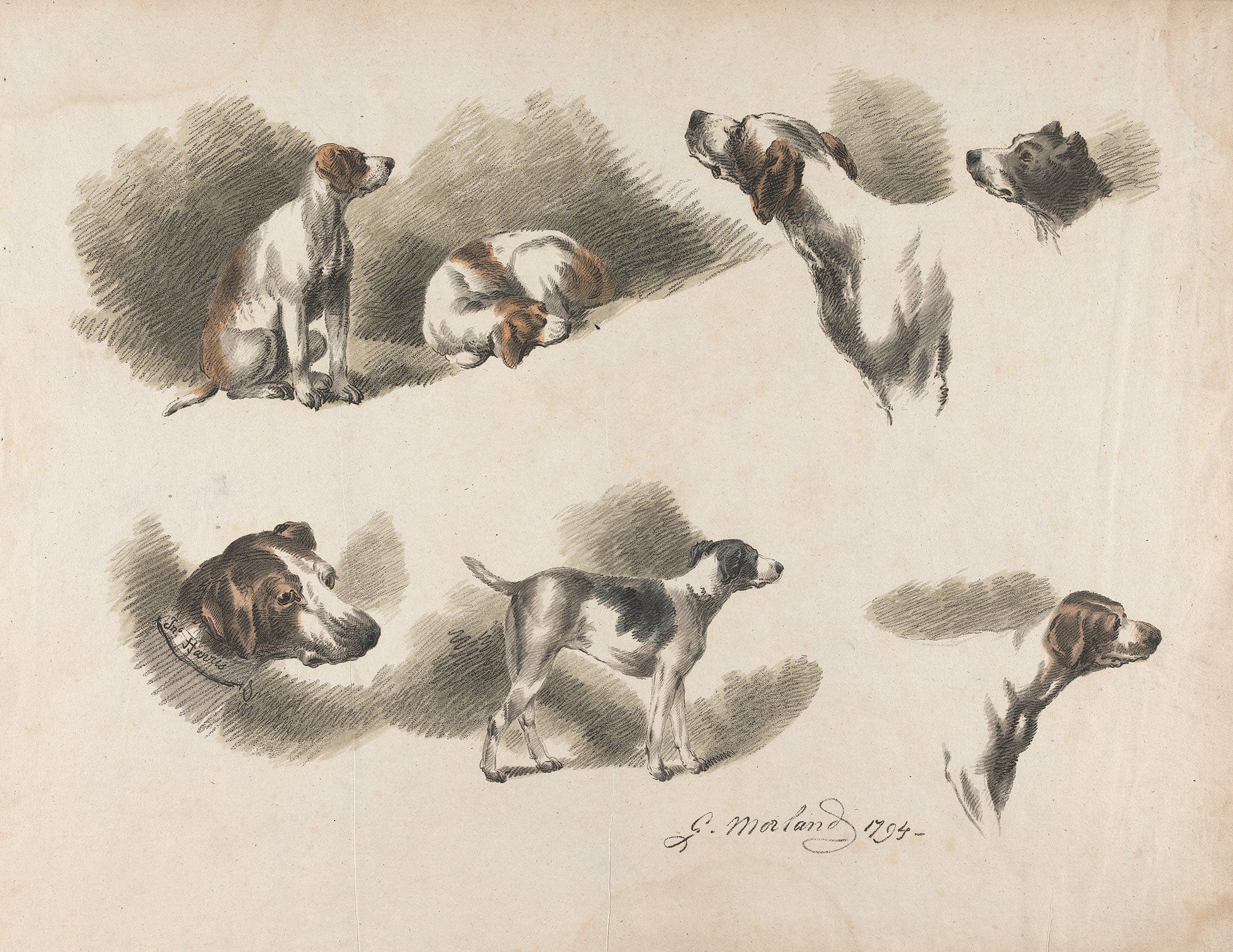 Seven Studies On Hound by George Morland
