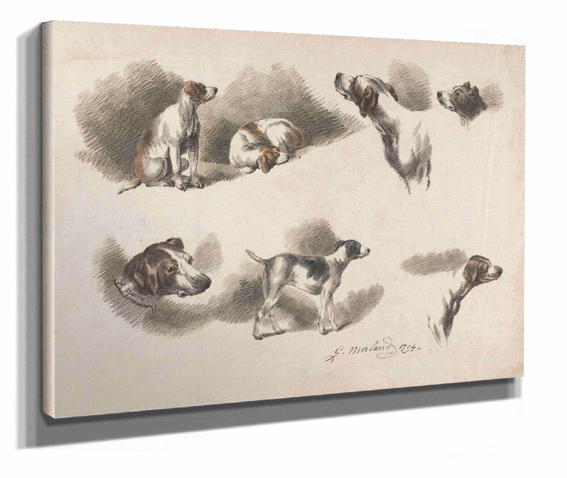 Seven Studies On Hound by George Morland