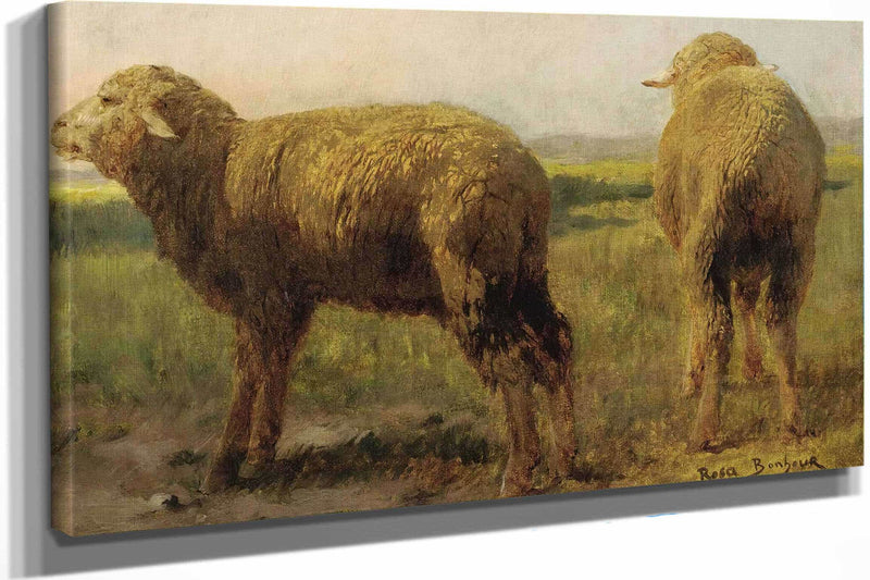 Sheep In A Meadow by Rosa Bonheur