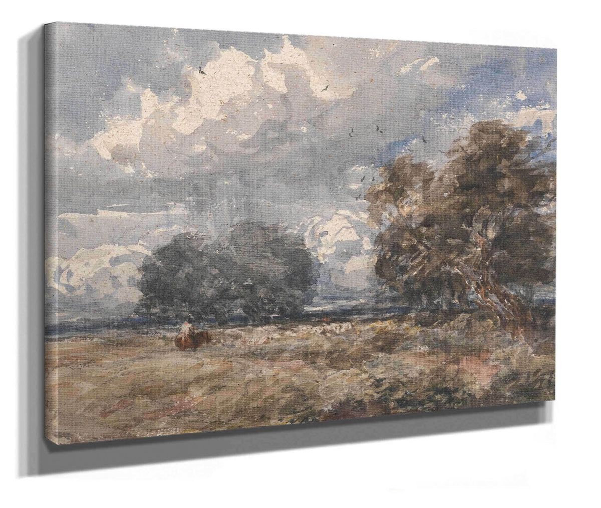 Shepherding The Flock Windy Day by David Cox