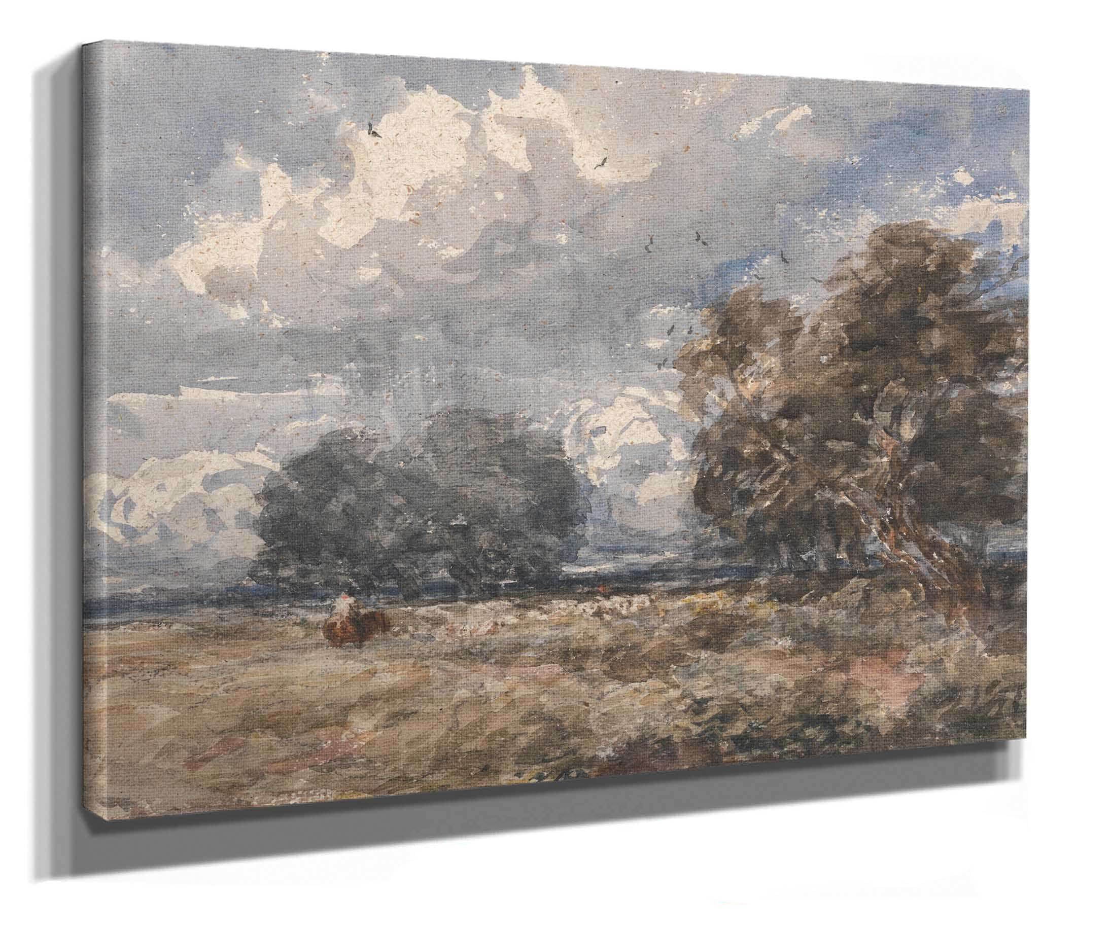 Shepherding The Flock Windy Day by David Cox