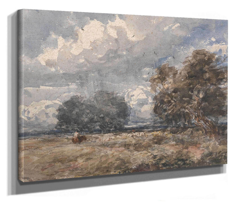 Shepherding The Flock Windy Day by David Cox