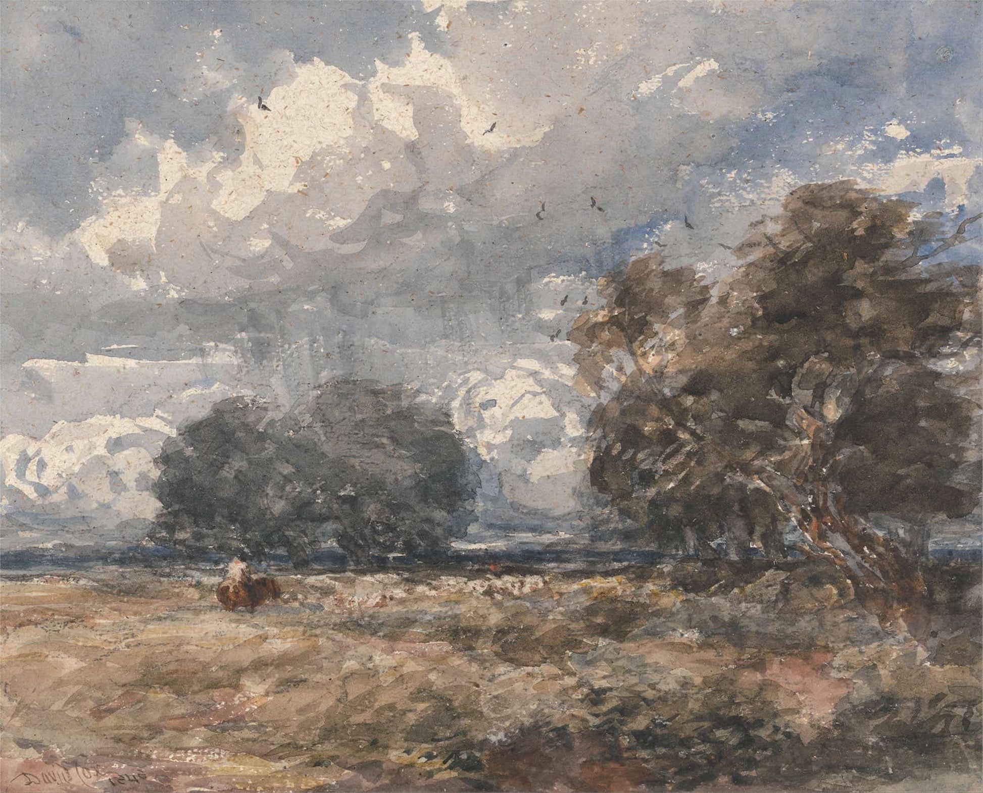 Shepherding The Flock Windy Day by David Cox