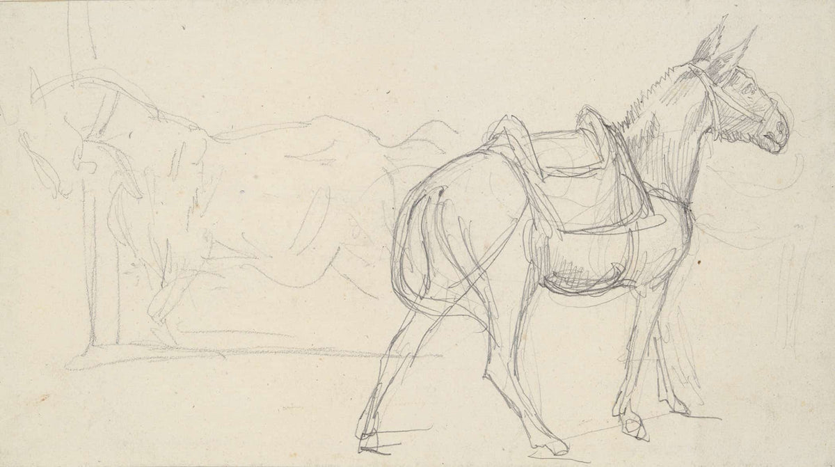 Sketch Of A Horse by Theodore Gericault