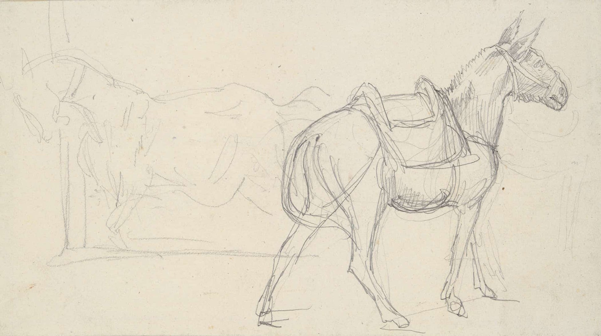 Sketch Of A Horse by Theodore Gericault