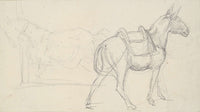 Sketch Of A Horse by Theodore Gericault