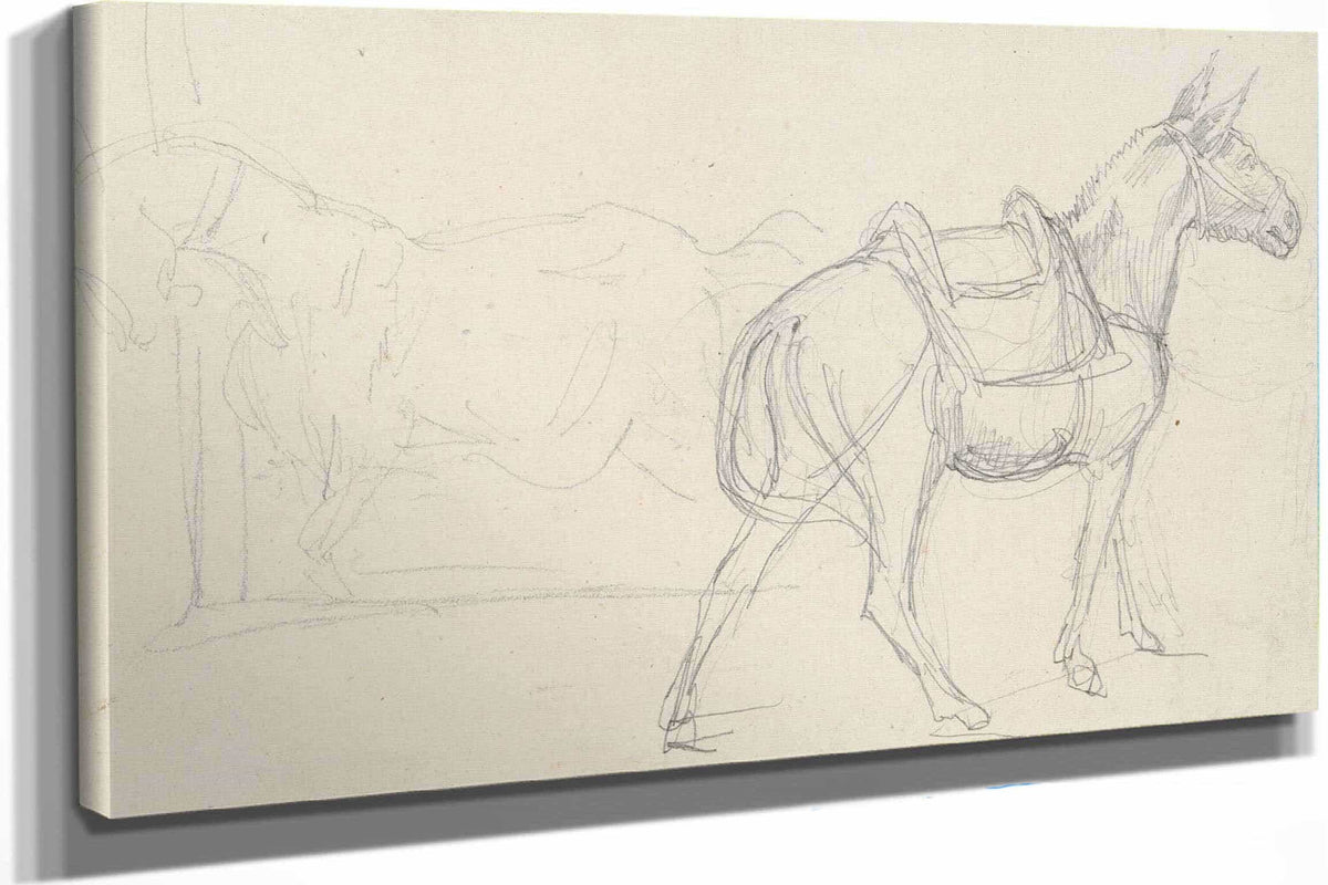 Sketch Of A Horse by Theodore Gericault