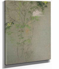 Sketch Of Leafing Tree Branches by Edwin Austin Abbey
