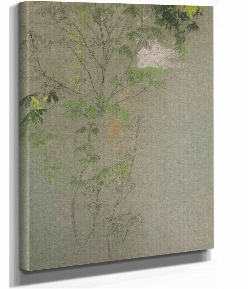 Sketch Of Leafing Tree Branches by Edwin Austin Abbey