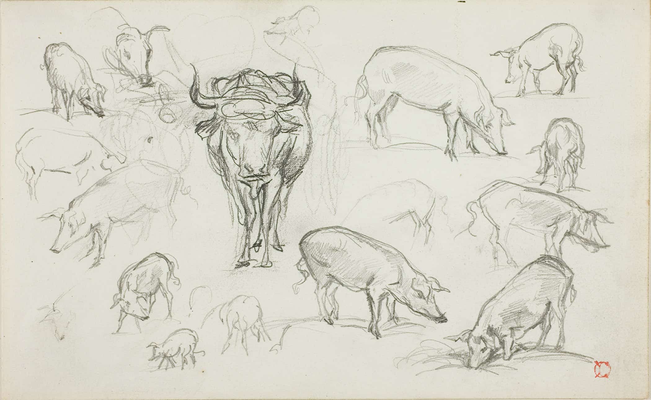 Sketches Of Swine And An Ox by Charles Francois Daubigny