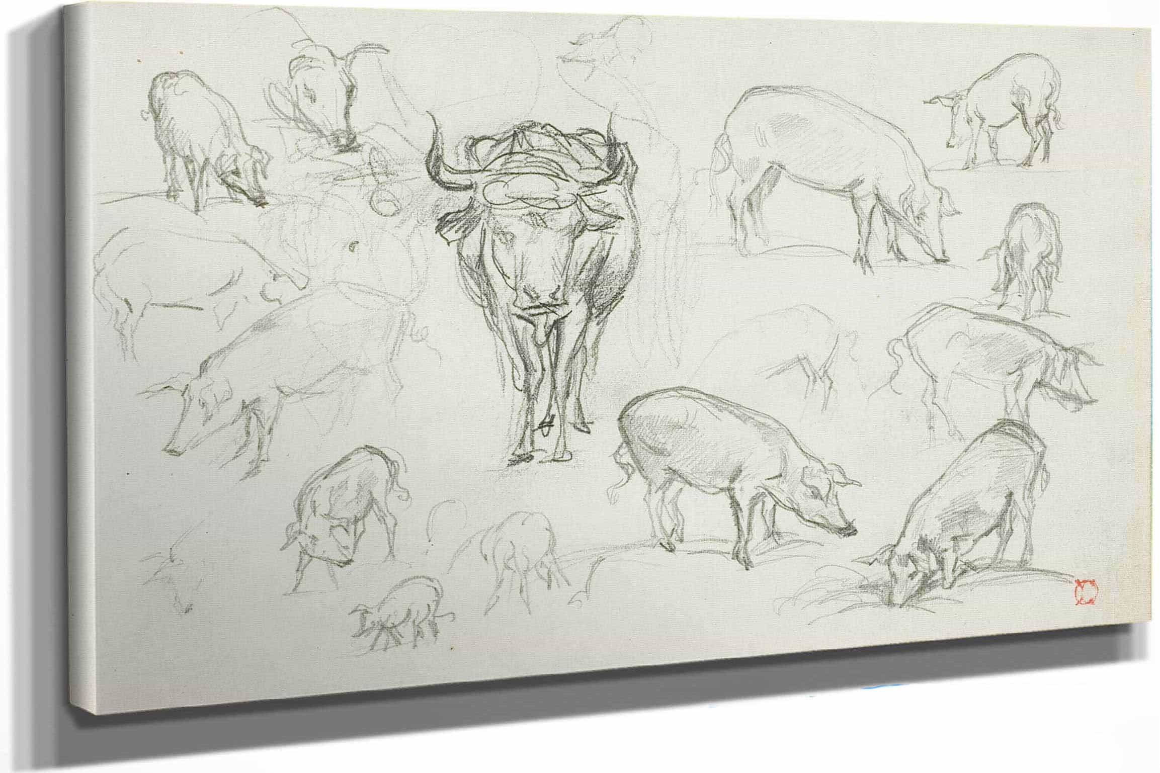 Sketches Of Swine And An Ox by Charles Francois Daubigny