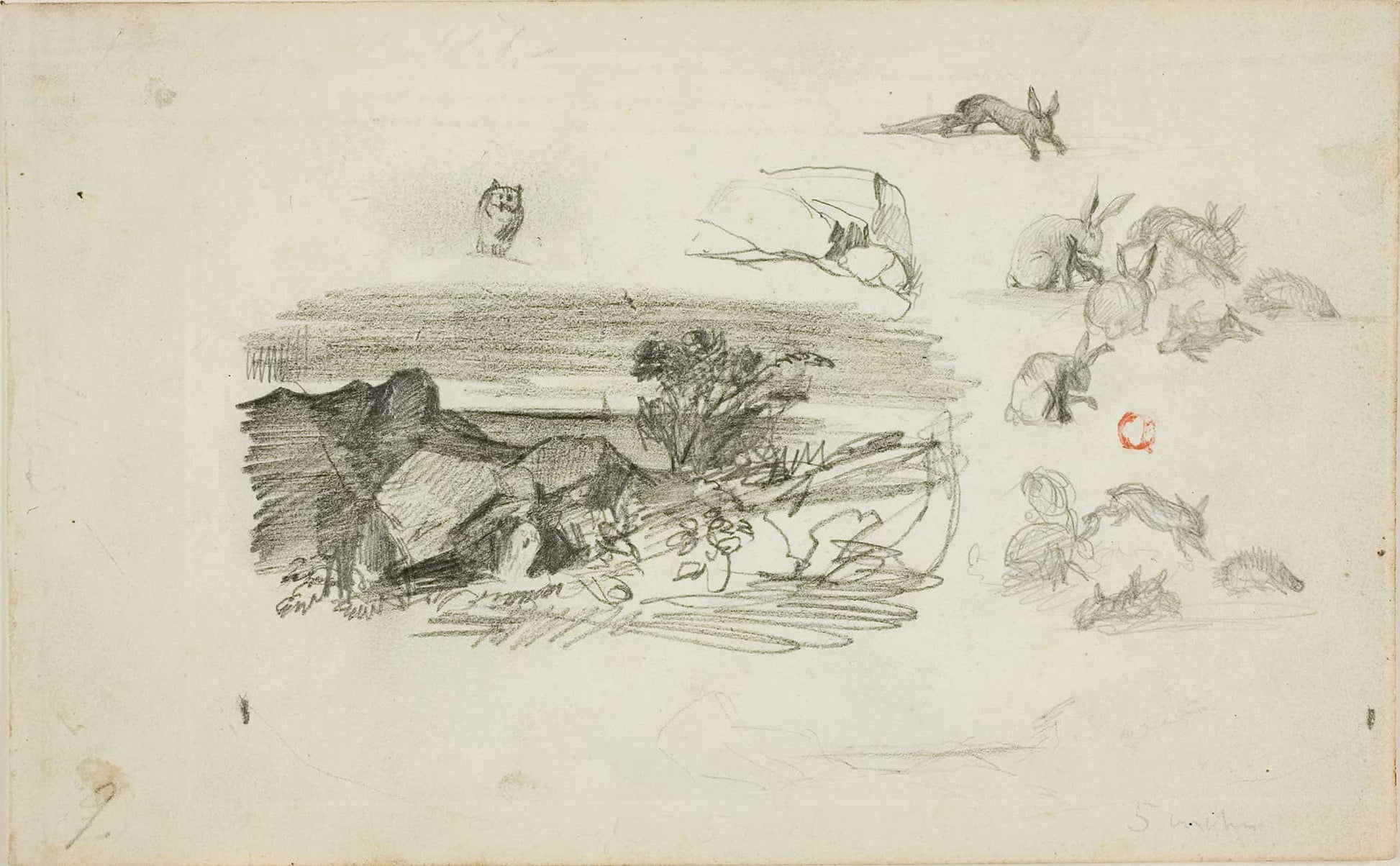 Sketches Rocky Setting And Rabbits by Charles Francois Daubigny