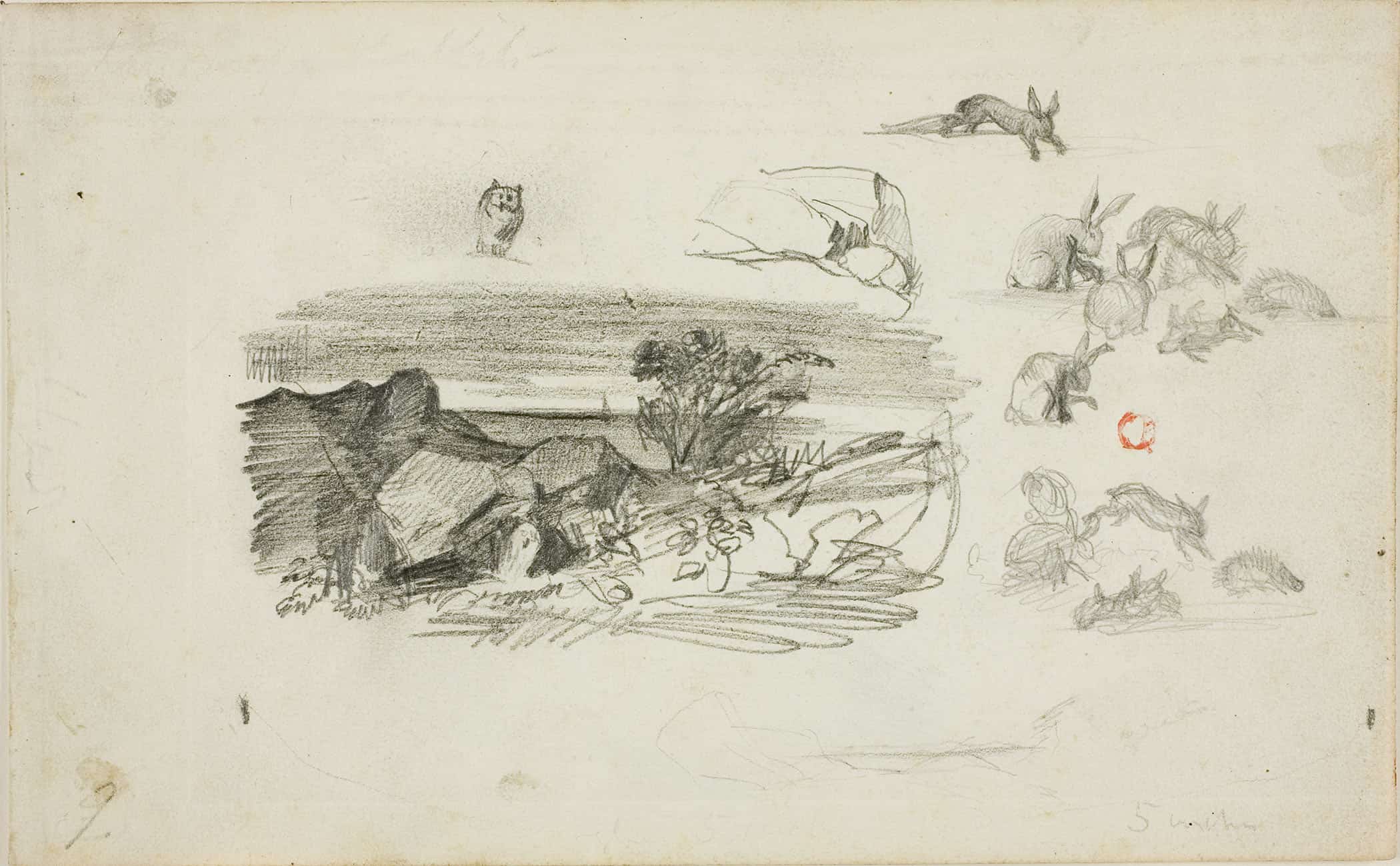 Sketches Rocky Setting And Rabbits by Charles Francois Daubigny