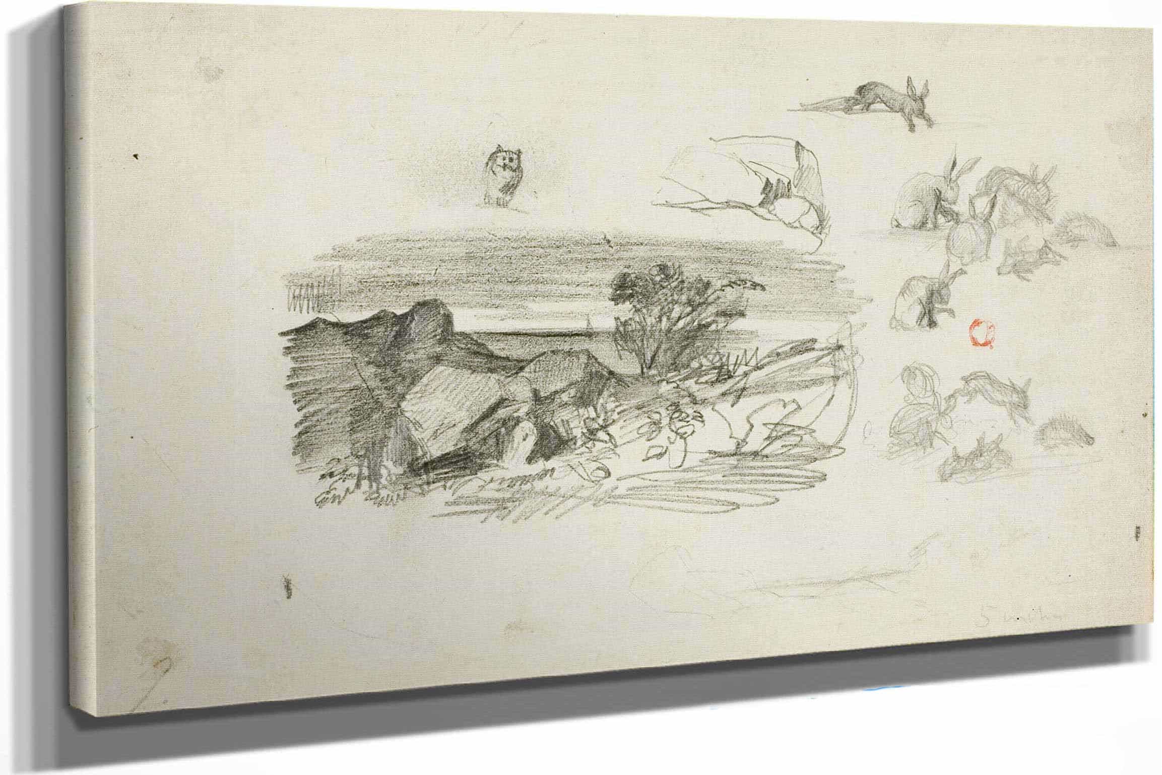 Sketches Rocky Setting And Rabbits by Charles Francois Daubigny