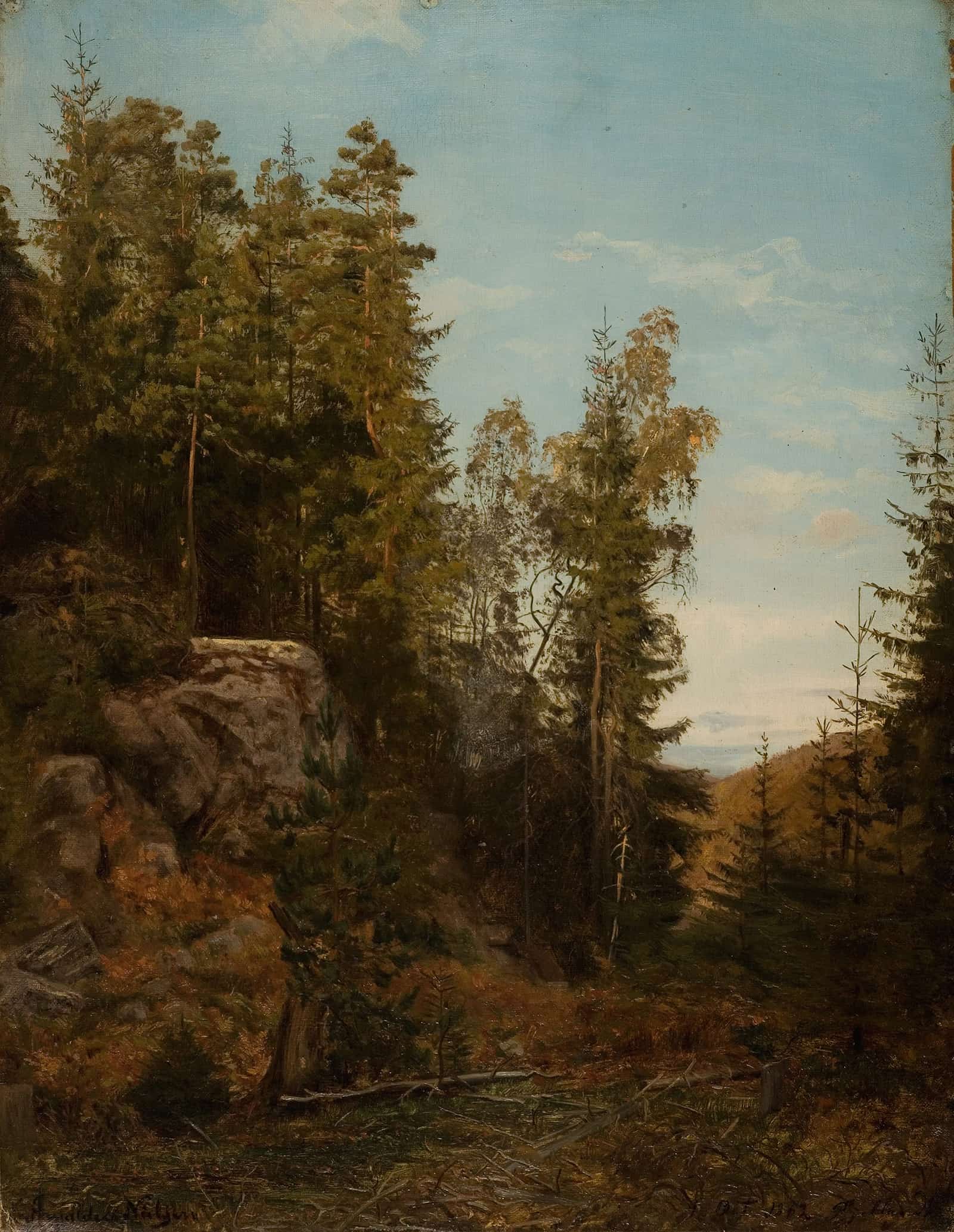 Skoginterior Bjelland Mandal by Amaldus Nielsen