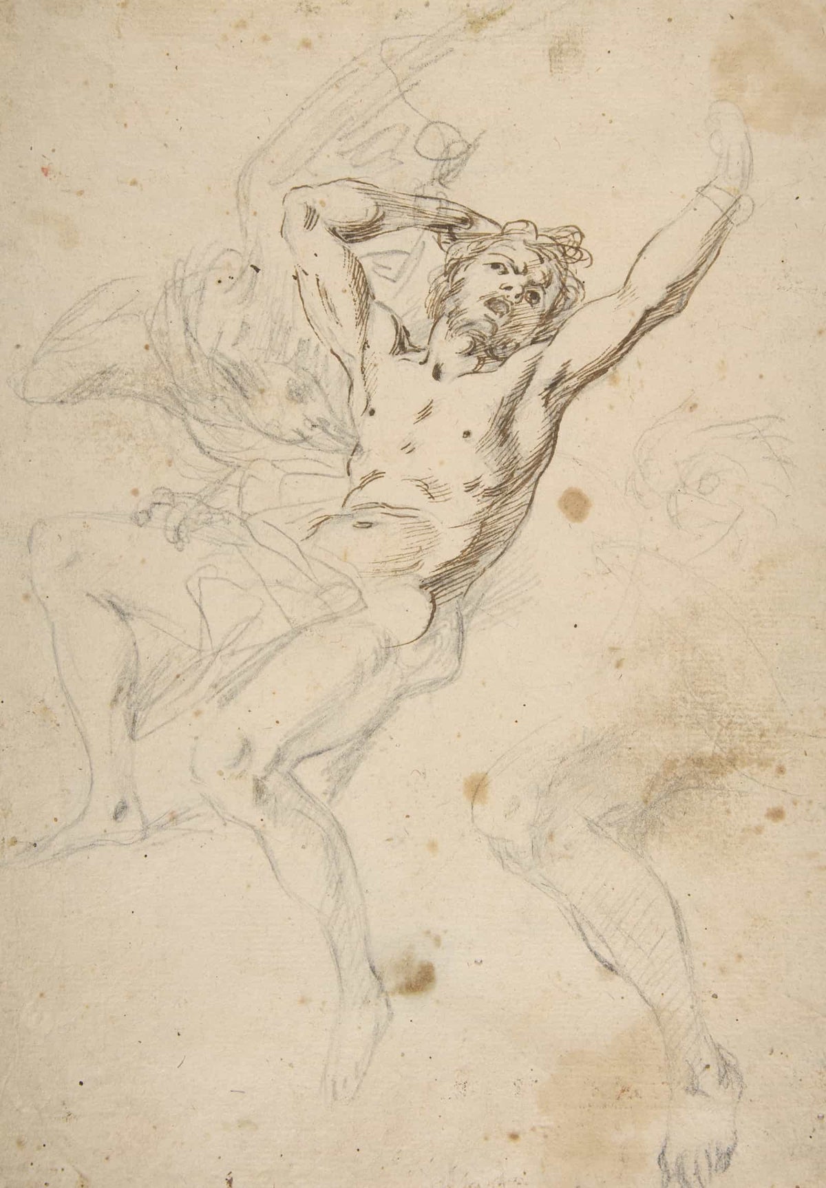 Slight Sketch Of Head And Shoulders Of Man In Lead Pencil   by Salvator Rosa