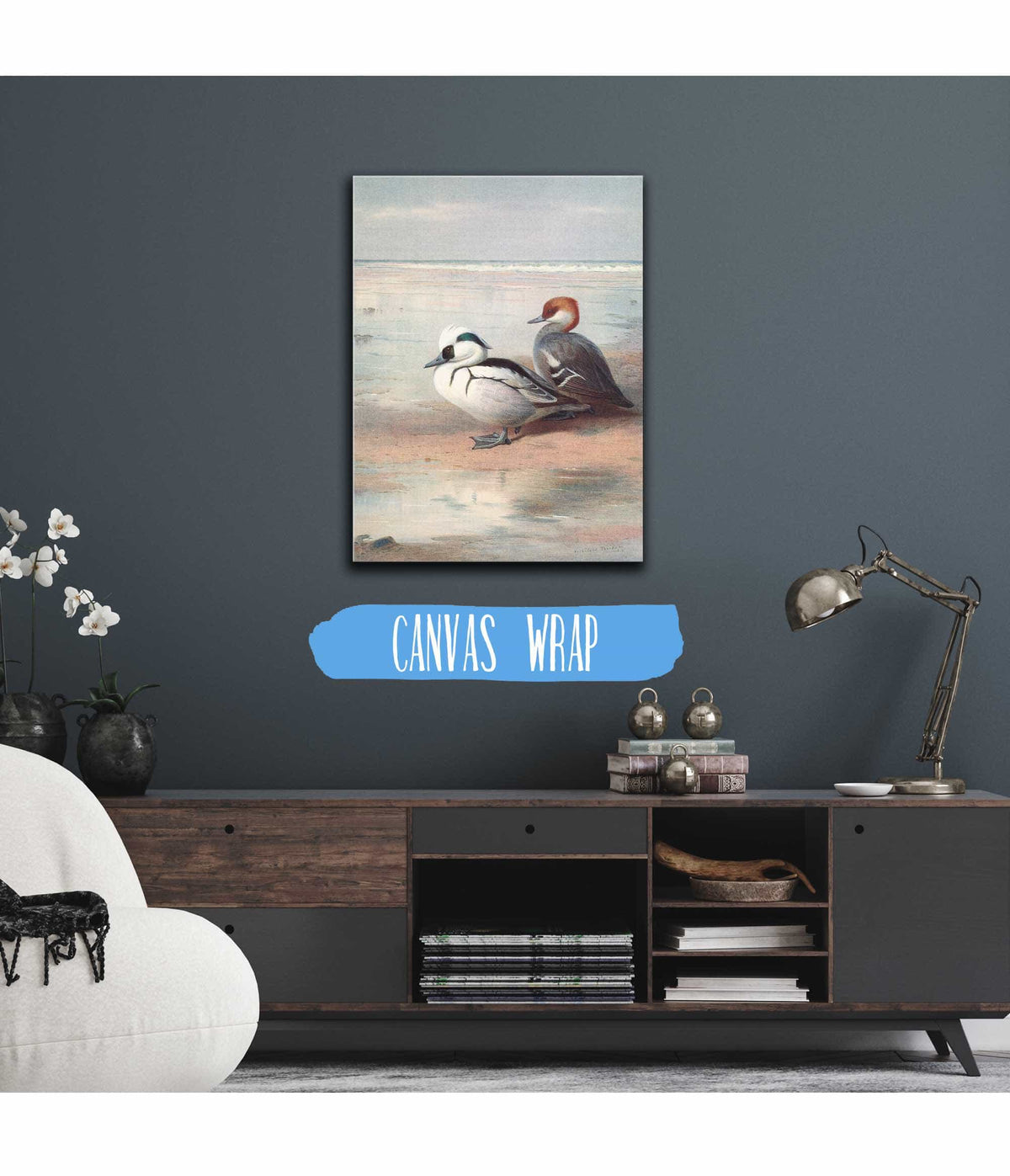 Smew by Archibald Thorburn