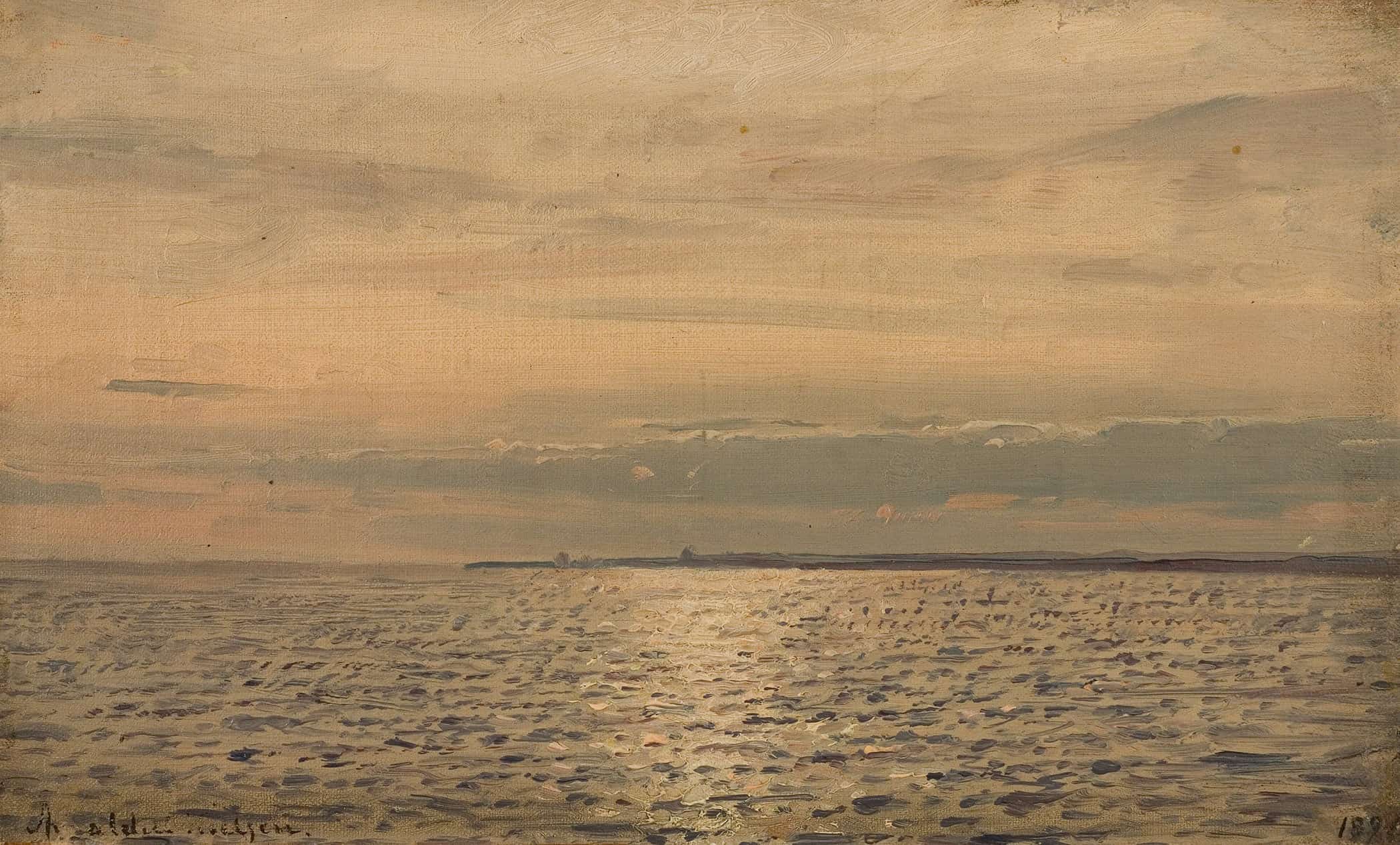 Solspeil Hvaler by Amaldus Nielsen