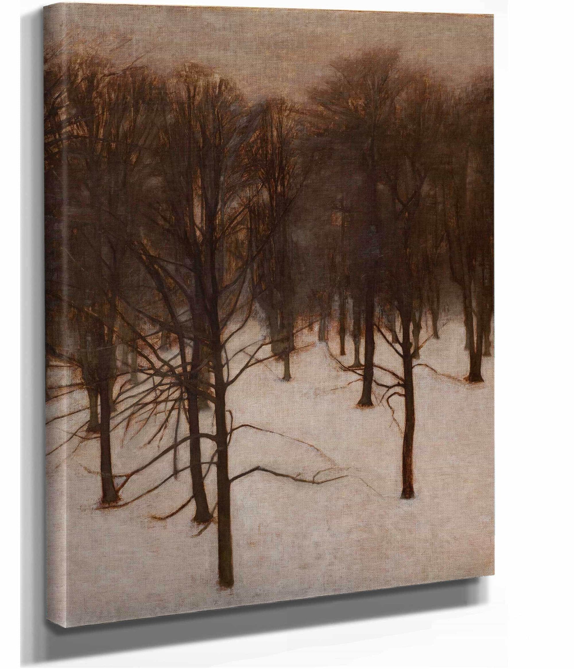 Sondermarken Park In Winter by Vilhelm Hammershoi